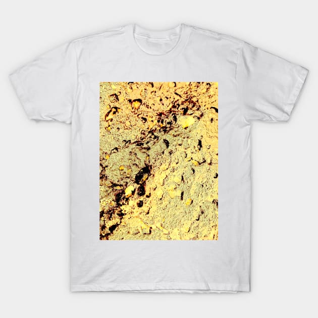 Golden Glaze T-Shirt by Tovers